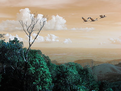 three brown birds flying near mountain thumbnail