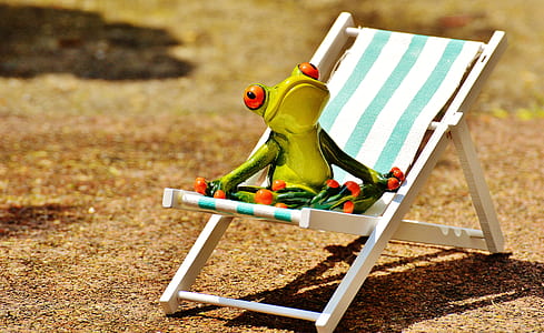 tree frog on white lounger thumbnail