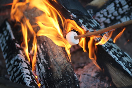 smore on brown wooden stick thumbnail