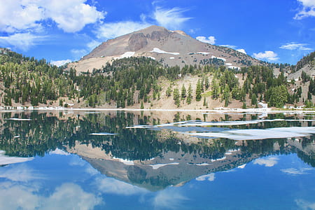tall green leafed trees surrounded by body of water mirror reflection photography thumbnail