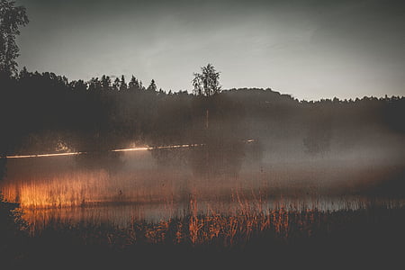 silhouette photography of trees near body of water thumbnail