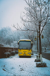 yellow bus parks near wall thumbnail