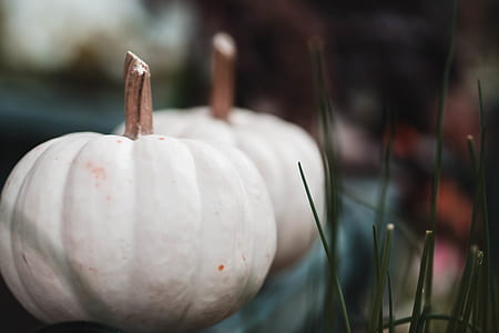 two white cabbages thumbnail