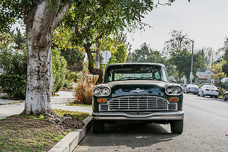 landscape photography of vintage Bentley car parked beside tree thumbnail