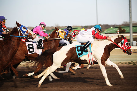 time-lapse photography of jockey riding on horse thumbnail