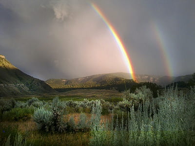 rainbow over forest and mountain thumbnail