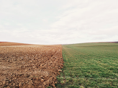 green grass field under the clear sky thumbnail