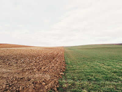 green grass field thumbnail