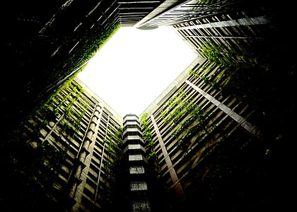 abandoned, decay, buildings, overgrown, nature, vegetation thumbnail