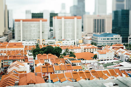 tilt-shift photography of brown and white buildings thumbnail