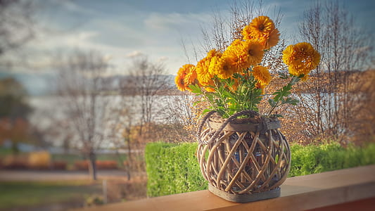 Orange Clustered Petaled Flowers in Brown Wicker Pot on Brown Wooden Plank thumbnail