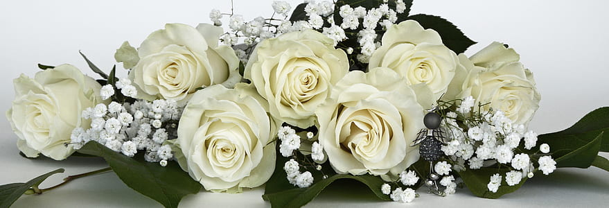 white roses and baby's-breath flowers in bloom thumbnail