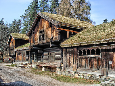 brown and green wooden house thumbnail