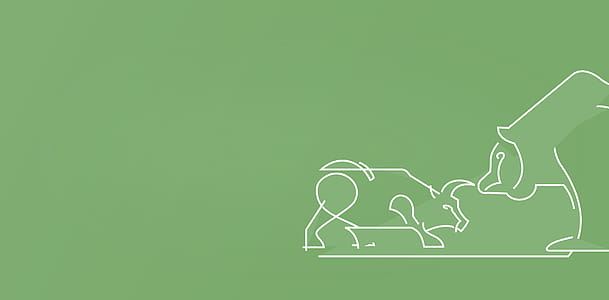 Finance Concept - Bull and Bear - With Copyspace thumbnail