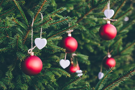 shallow focus photography of red baubles on Christmas tree thumbnail