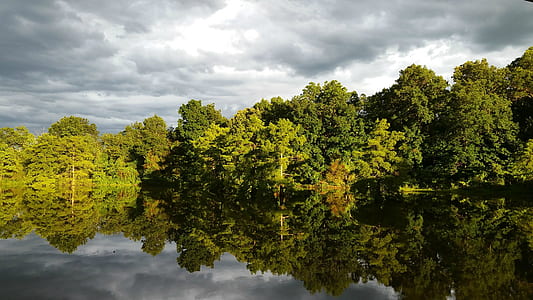trees near lake under gray clouds thumbnail