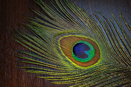 green and blue leaf on brown surface thumbnail