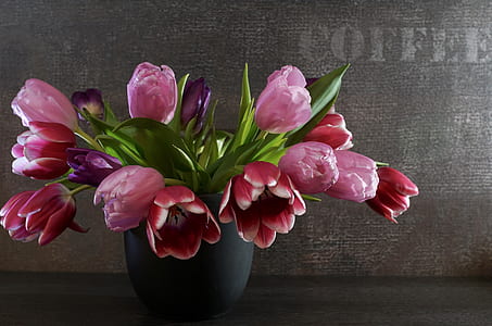 pink petaled flower arrangement near brown wall thumbnail