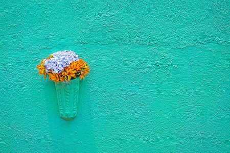 purple and orange petaled flower in vase hanging on wall thumbnail