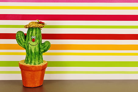 green cactus on clay pot thumbnail
