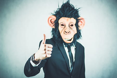 person wearing brown and black money mask and black suit jacket thumbnail