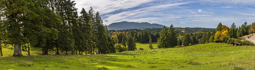 landscape photo of green grass field during daytime thumbnail