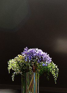 green and purple flowers in clear glass vase selective-focus photography thumbnail