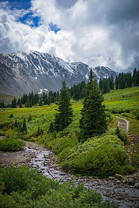green forest near mountain thumbnail
