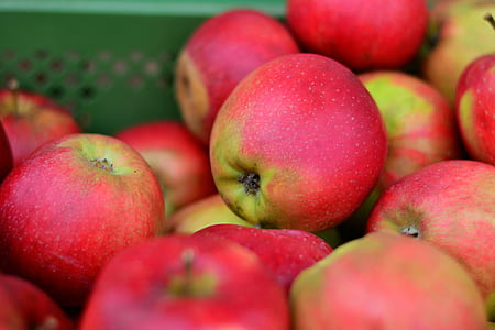 apple, red apple, fruit, frisch, market, healthy thumbnail