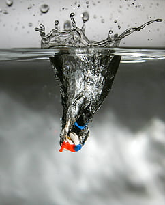 LEGO toy on splash of water photophy thumbnail