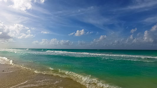 seashore and ocean wave thumbnail