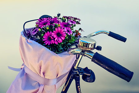 pink flower bouquet on pink container thumbnail