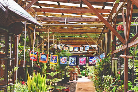 wood, landscape, flowers, flags thumbnail