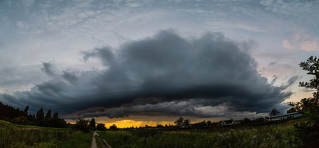 green grass under gray clouds photography thumbnail