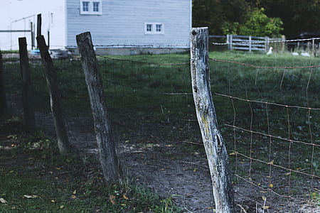 closeup photo of brown post fence thumbnail