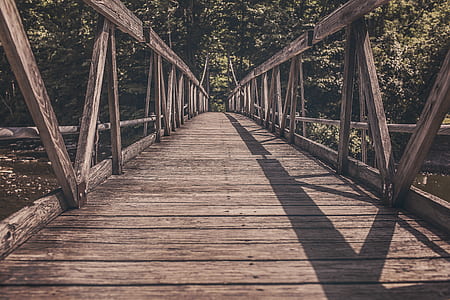 photo of brown wooden bridge thumbnail