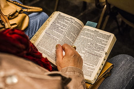 Person Holding Opened Book thumbnail