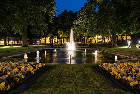 water fountain surrounded by trees thumbnail