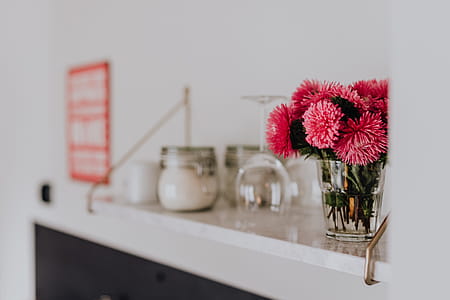 Beautiful fresh pink flowers on marble shelf thumbnail