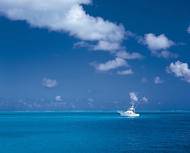 white boat on water during daytime thumbnail
