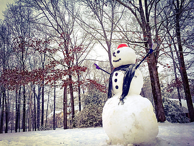 snowman under bare trees thumbnail