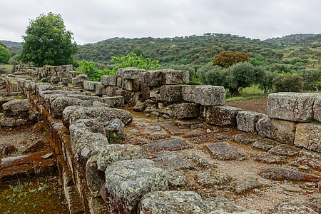 surrounded by trees battlements thumbnail