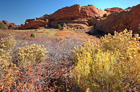 Bright afternoon Colorado sunshine lights up Red Rocks Park as seen from the Trading Post Trail at Red Rocks Park and Amphitheater, Morrison Colorado. thumbnail