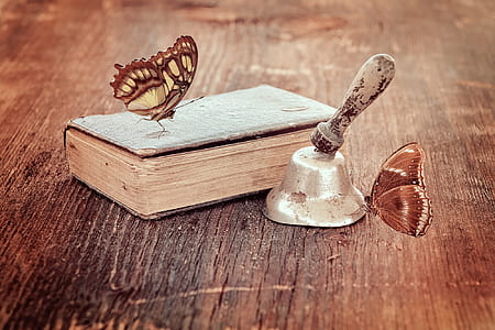 malachite butterfly on book and brown butterfly on grey hand bell thumbnail