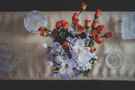 selective focus photography of white and red clustered flowers thumbnail