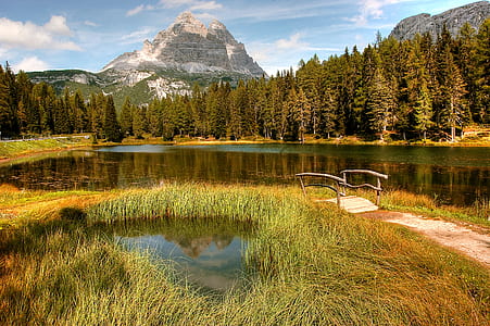 body of water near trees and mountain thumbnail
