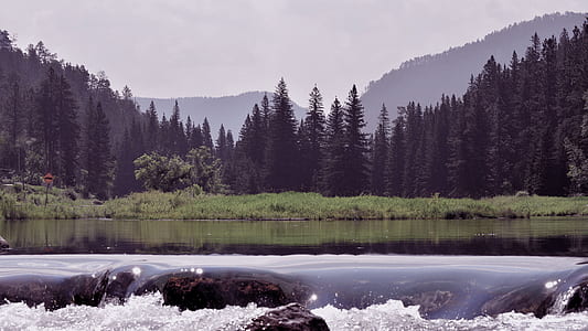 body of water near tall trees landscape photography thumbnail