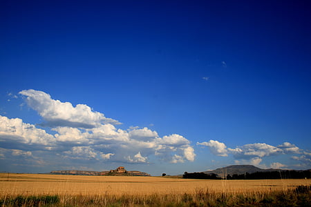 hay field thumbnail