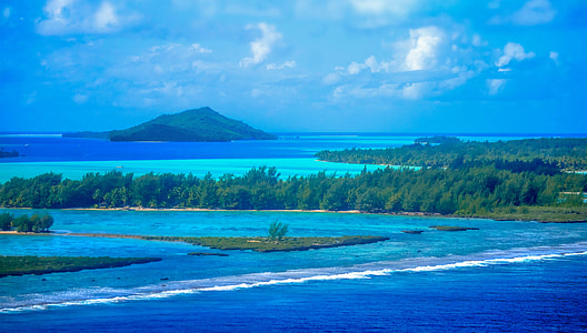 body of water and green trees photography thumbnail