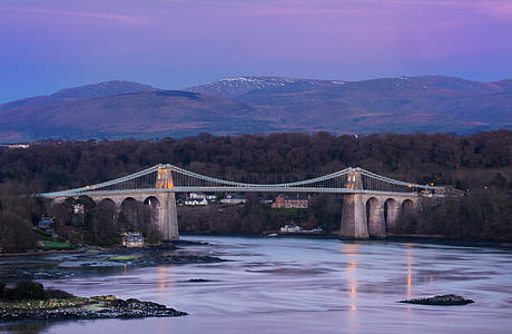 gray bridge surrounded by trees thumbnail